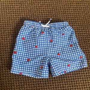 Mini Boden blue gingham swim trunks great condition - size 9-12M
